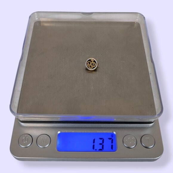 V. Sigma Nu Fraternity Pledge Pin - Picture 6 of 6